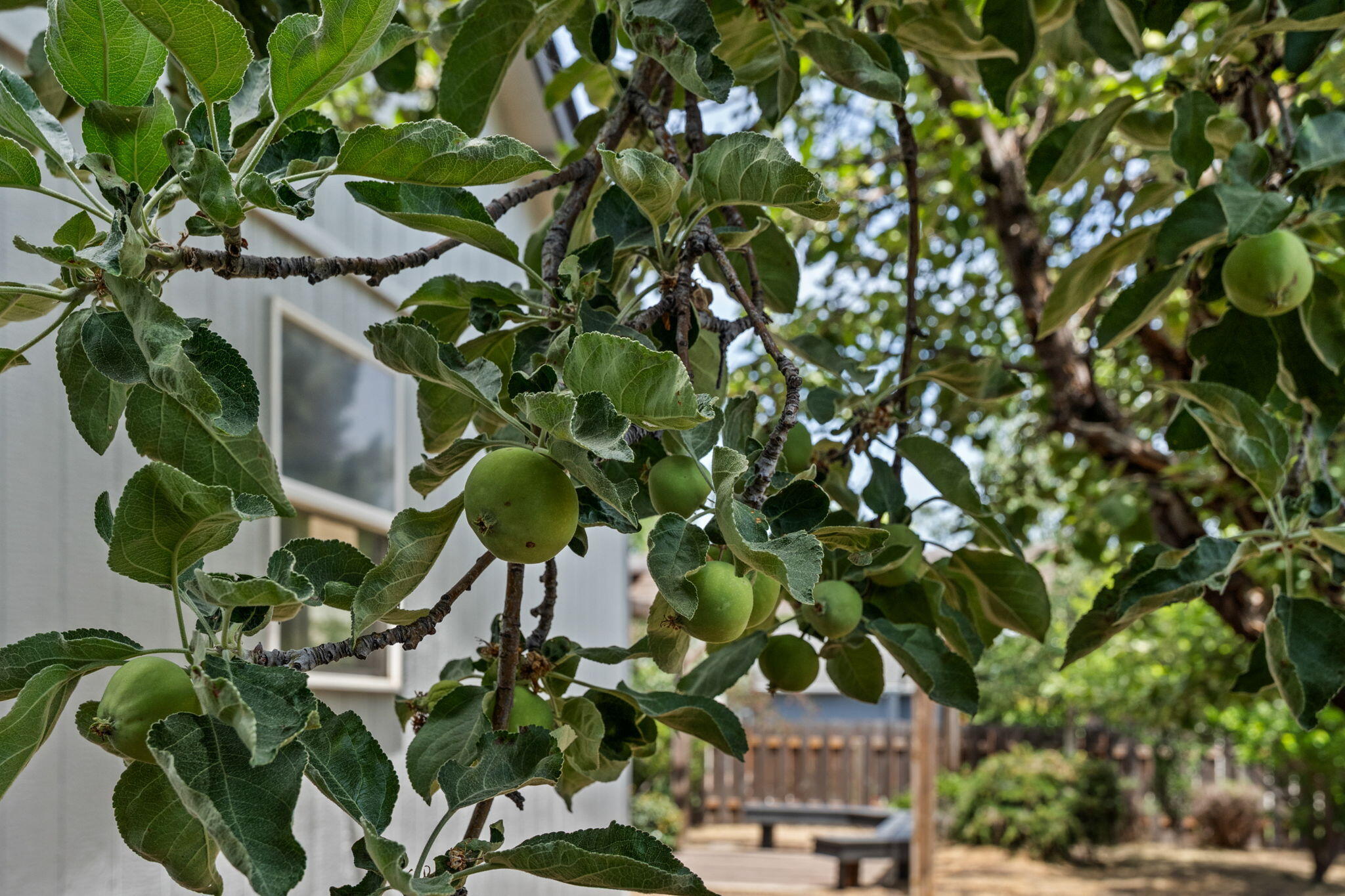 Elkhorn Estates - Residential