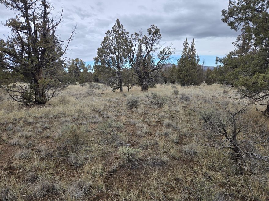 Brand new developed lots partitioned off a 240 plus acre parcel located off of O'Neil Hwy.  These parcels are accessed by a brand new all-weather road constructed along the South border.  This property is a little over 1 1/2 miles West of the North unit canal and county line.  Parcel 2 has been septic approved for a standard septic system.  This area has some outstanding wells in it.  These lots were situated to maximize your views and privacy.  Lots of trees that you can keep or remove as you wish.  Build your dream home right here.  Sellers are willing to carry with a sizable down (50%).  Sellers are licensed realtors in the State of Oregon.  Because the sellers are also the agents, please feel free to contact us regarding these lots and questions you may have.