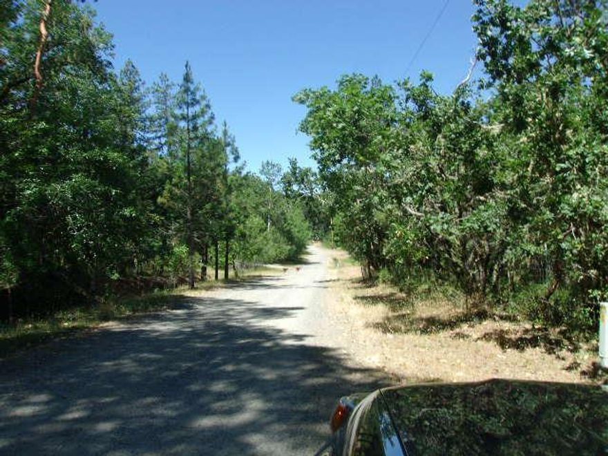 Really nice lot in a desirable area. Private. BLM backs this 5 acres. Property had an open gentle slope plus a heavily wooded area. So much wildlife to enjoy. Quiet & private area. Seller said there is a sand filter septic approval. Owner may carry with large down.