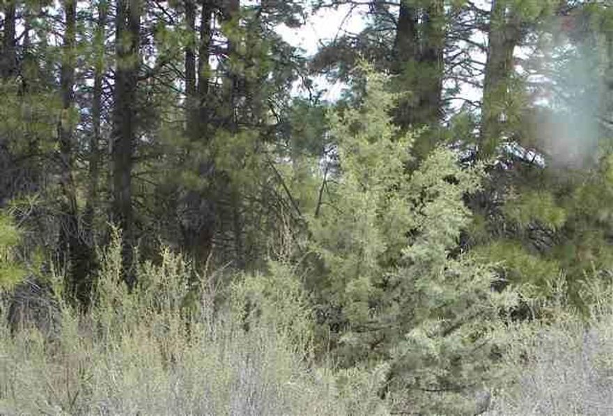Beautiful Secluded Property Well Treed Gravel Road To And From Property, Aprox 45 Miles East Of Klamath Falls. Beautiful Views Of Surrounding Mountains And Valleys. Perfect Buildable Getaway Or Summer Vacation Camping Experience.