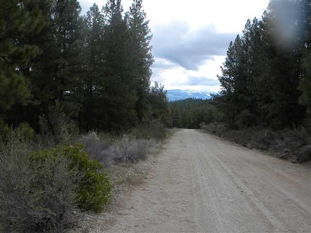 Beatty - Land