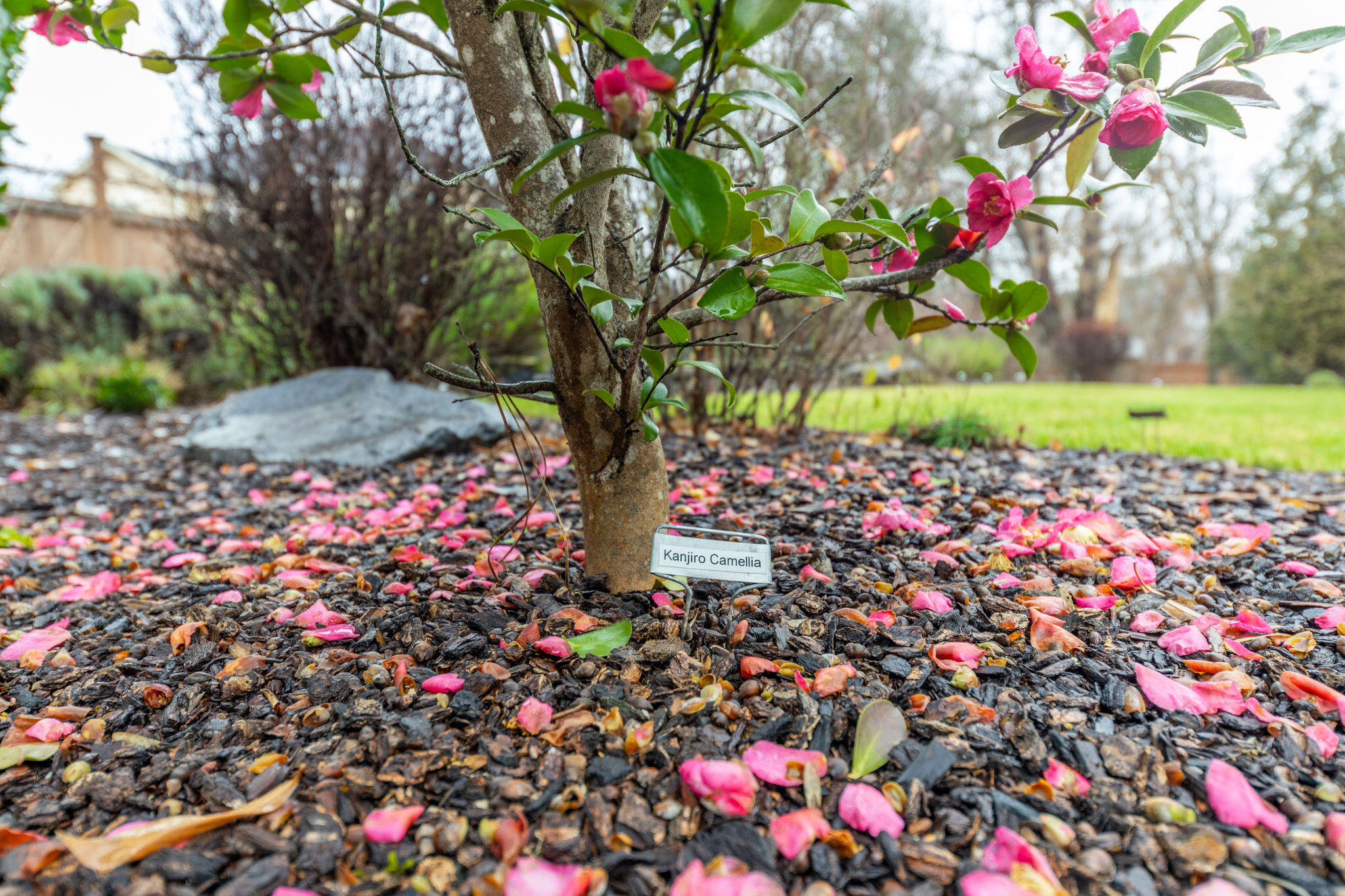 Hanley Dale Subdivision - Residential