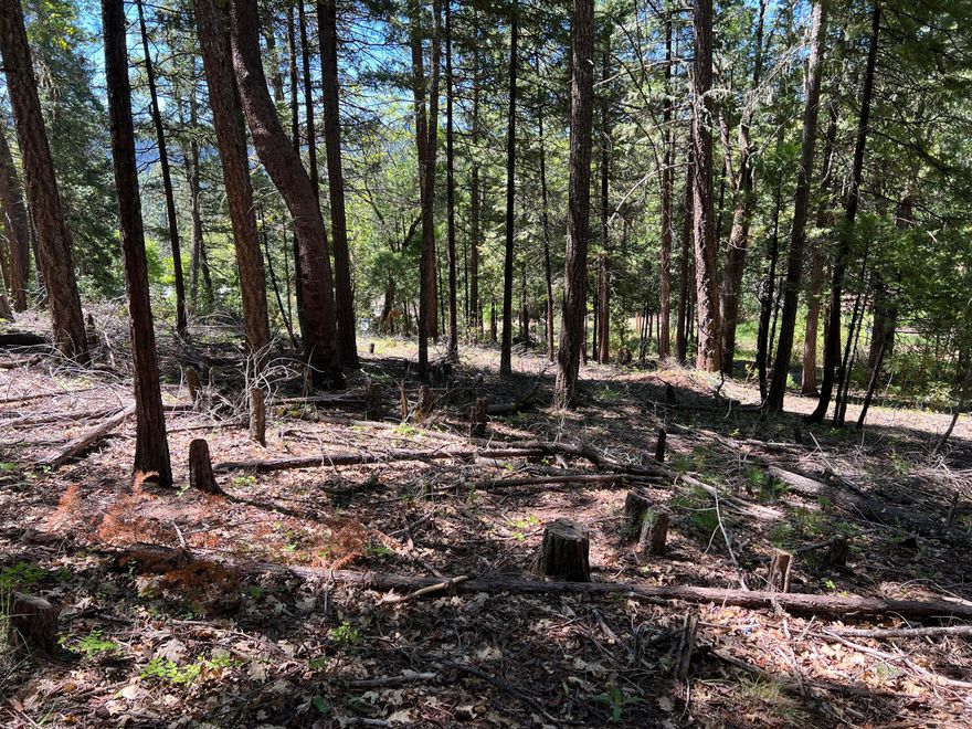 Enjoy country living on this lot near the Lost Creek Recreation Area. This lot is a great place to build your new home, cabin, or manufactured home. The land is completely treed and is level to gently sloping. A second lot is for sale adjacent to this lot. (00348 Flounce Rock Rd) Buy both lots for a total of 1 acre. Water is provided to the edge of the lot via the Evergreen Meadows Community Water System. Power is along the edge of the lot, but will need to be installed by Pacific Power. A septic system will need to be installed. Located a few minutes from public access to Lost Creek Lake and BLM land. Lost Creek Lake is a popular place for boatings sports, camping and fishing. Just minutes from the Rogue River National Forest system where you can enjoy a plethora of outdoor activities including camping, hiking, hunting, world class trout fishing on the Upper Rogue, viewing waterfalls, riding OHVs, and much more! Owner carry options available to qualified buyers!