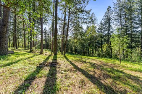 Tiny photo for 1201 Reeves Creek Road, Selma, OR 97538 (MLS # 220220109)