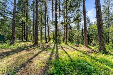 Tiny photo for 1201 Reeves Creek Road, Selma, OR 97538 (MLS # 220220109)