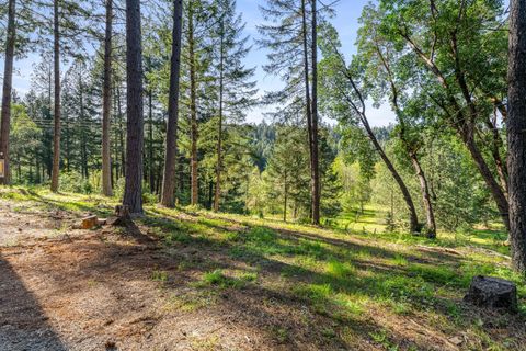 Tiny photo for 1201 Reeves Creek Road, Selma, OR 97538 (MLS # 220220109)