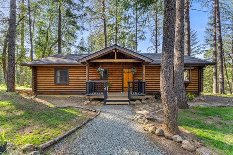 Photo of 1201 Reeves Creek Road, Selma, OR 97538 (MLS # 220220109)