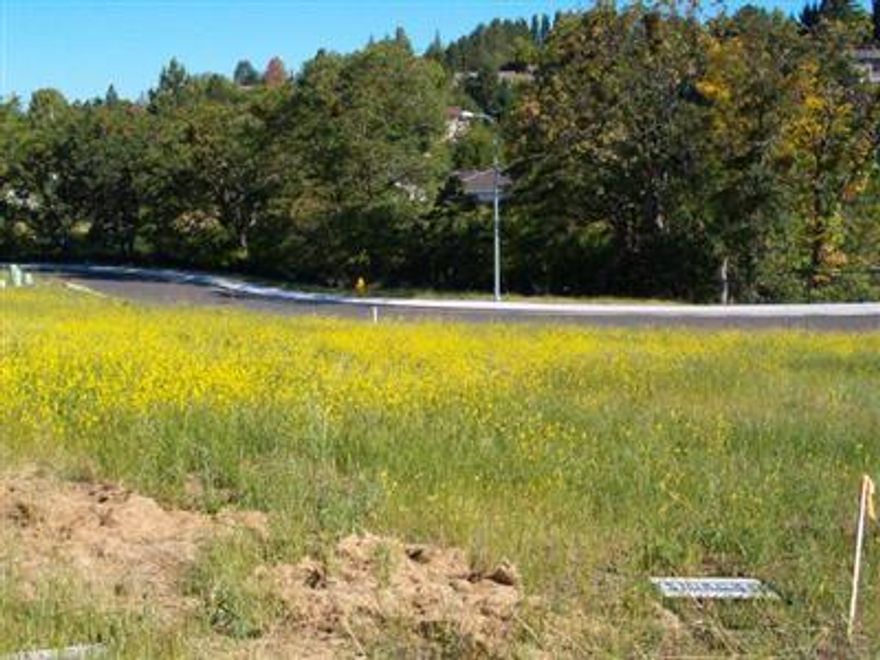 Lot #13 of 22 lot subdivision of the Meadows at Creekwood Village. You may choose your own builder & house plan. Per CC&R $40.00 monthly assoc fee. Access to & from lot #13 is from Eagle Trace. As of 5/23/16 the price has been reduced drastically from $140,000 to $65,000