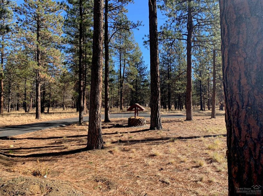 Level 5-acre building site with water, power & septic. Nice 30'x30' barn with interior staircase to loft. Mature pine trees, long aggregate driveway with turn-around, horses allowed, close to National Forest Land. Located only one mile from town in the desirable Indian Ford Meadows.