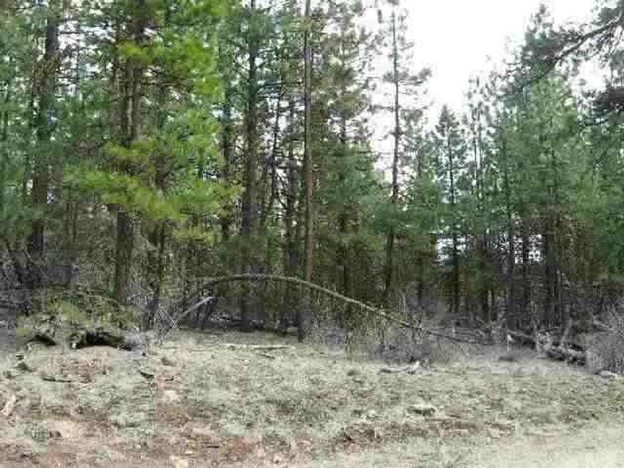 Beautiful Heavily Forested Property W/ Lots Of Lg Pines. Great Remote Location In Bonanza Backed By Blm . Nice Views. Owner Is Ca Licensed Realtor