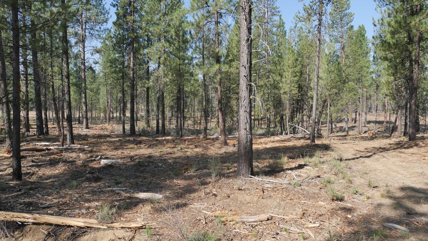 One of the most coveted communities in Central Oregon, the Mirror Rock neighborhood is the first new neighborhood in Caldera Springs since 2007. The expansion of Caldera Springs also includes planned amenities such as a new pool with water slide and family game room. A park featuring pickleball courts, climbing and play structures, small and large dog parks, along with miles of new paved and soft trails that connect to existing pathways and trails throughout Caldera Springs and Sunriver. Homeowners will also have access to Caldera Links, and the popular Sunriver Resort facilities. Taxes are not included. Taxes will be determined after final recorded plat and appointed assessor's parcel number.