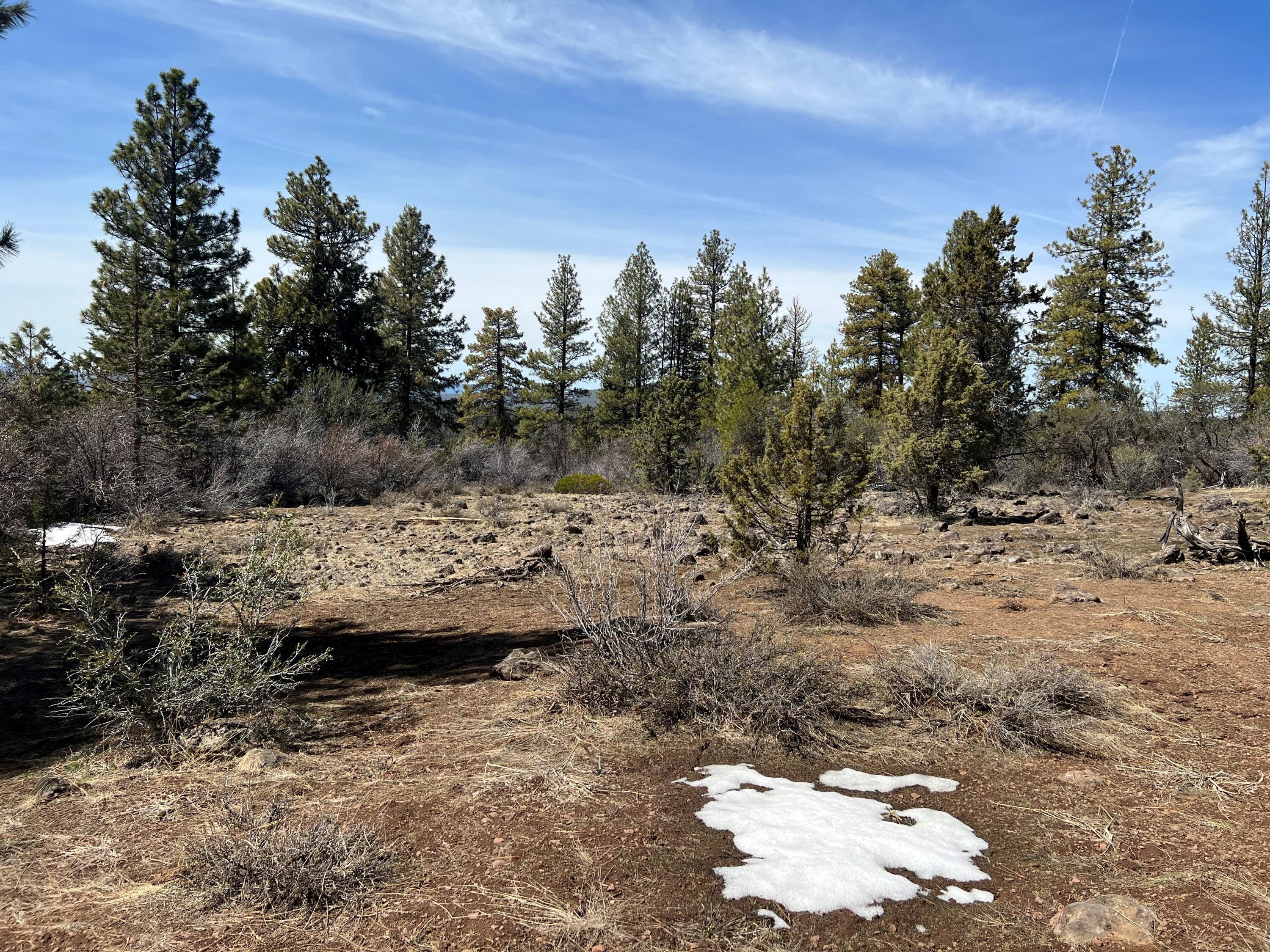 Klamath Falls Forest Estates Hwy 66 Unit Plat 4 - Land