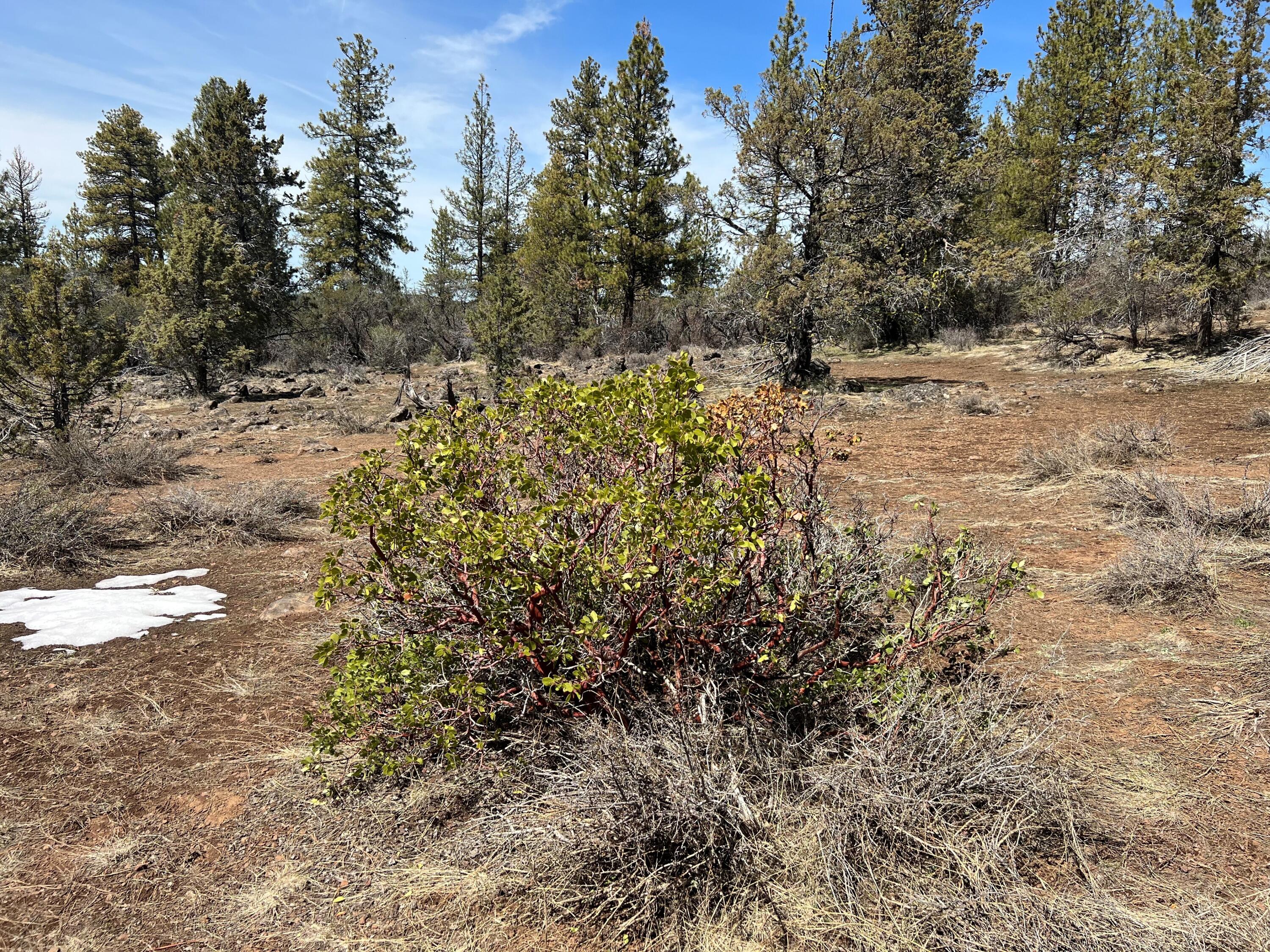 Klamath Falls Forest Estates Hwy 66 Unit Plat 4 - Land