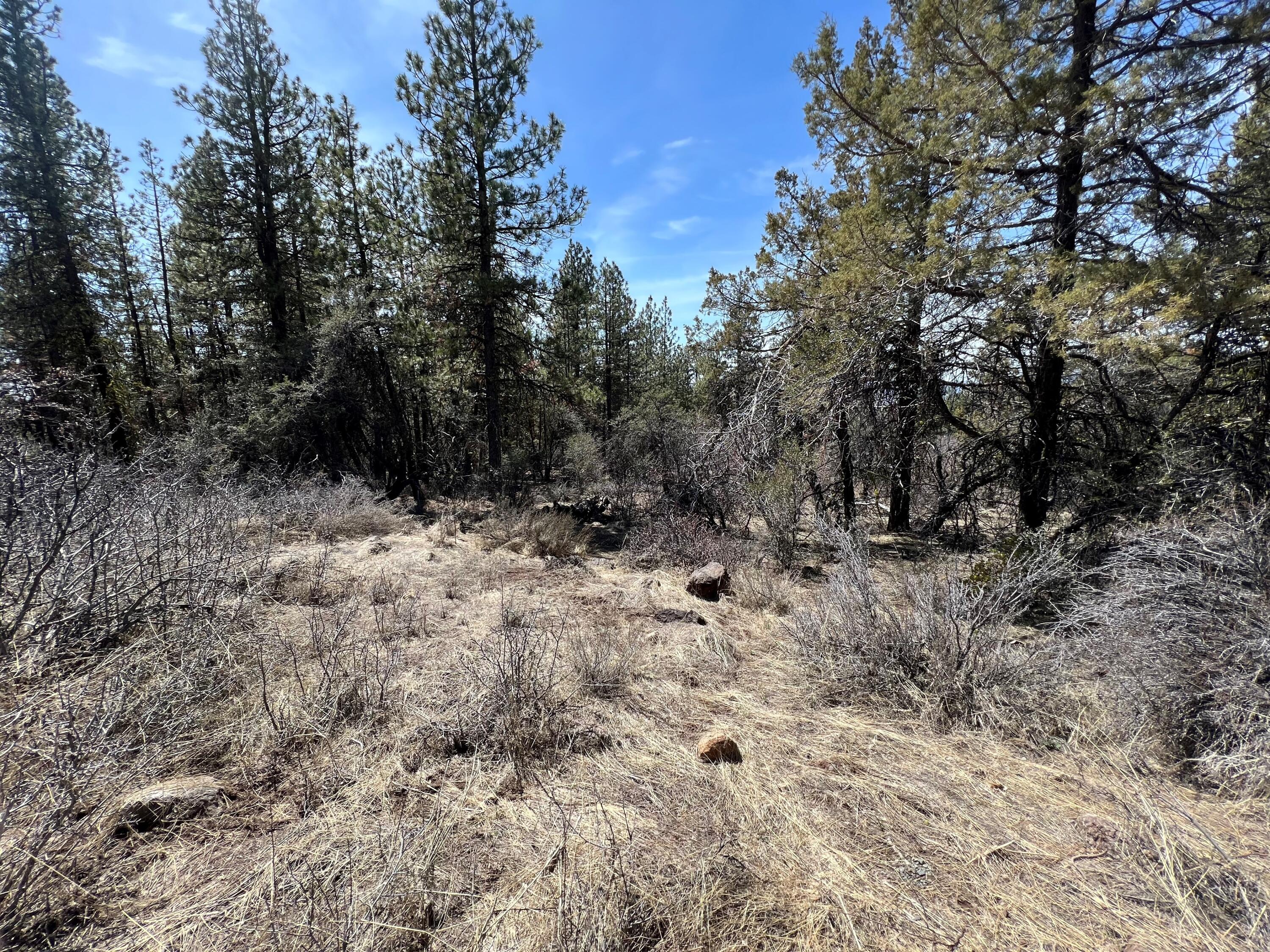 Klamath Falls Forest Estates Hwy 66 Unit Plat 4 - Land