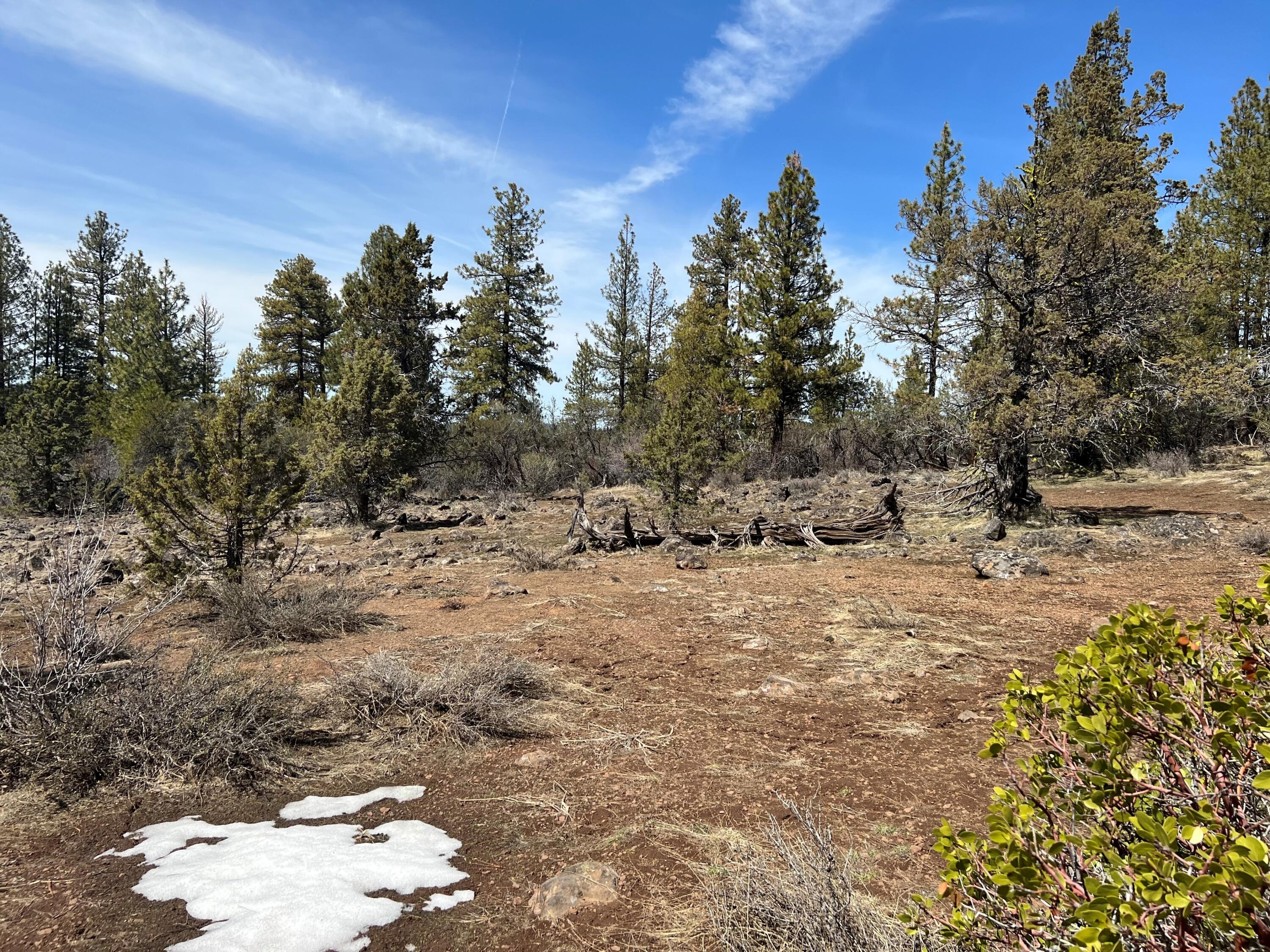 Klamath Falls Forest Estates Hwy 66 Unit Plat 4 - Land