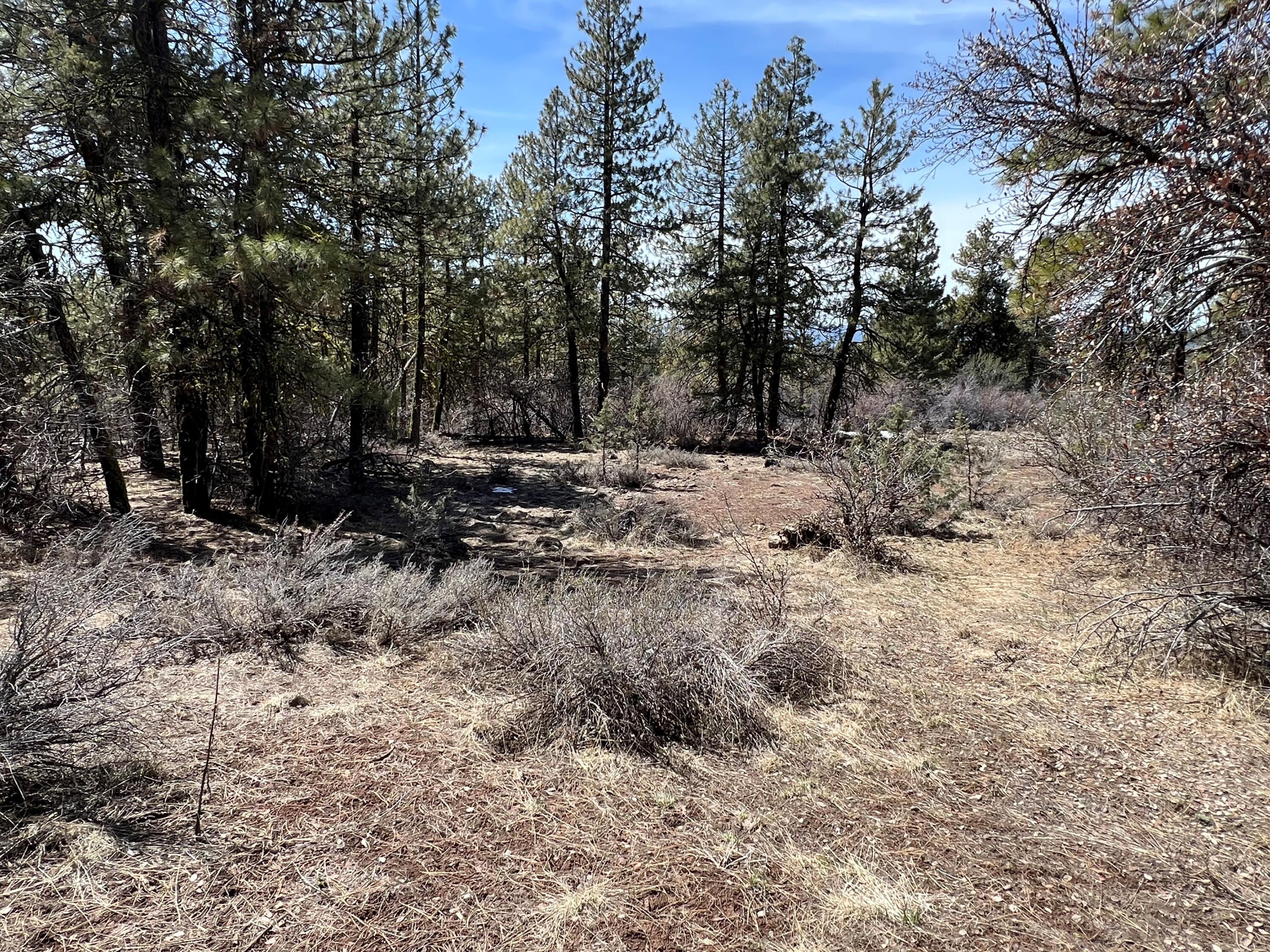 Klamath Falls Forest Estates Hwy 66 Unit Plat 4 - Land