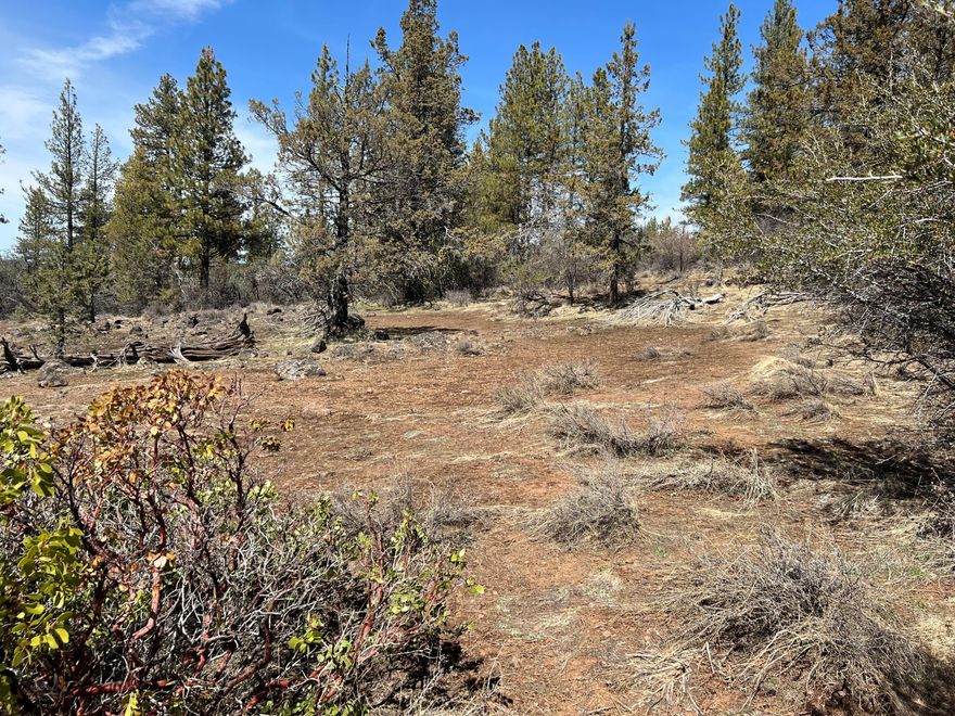 This property has a little over 2 acres with plenty of beautiful pine trees and sunshine. It is located in an area that has a road maintenance in place so roads are kept up. Buyer to do their own due diligence regarding zoning, building etc.