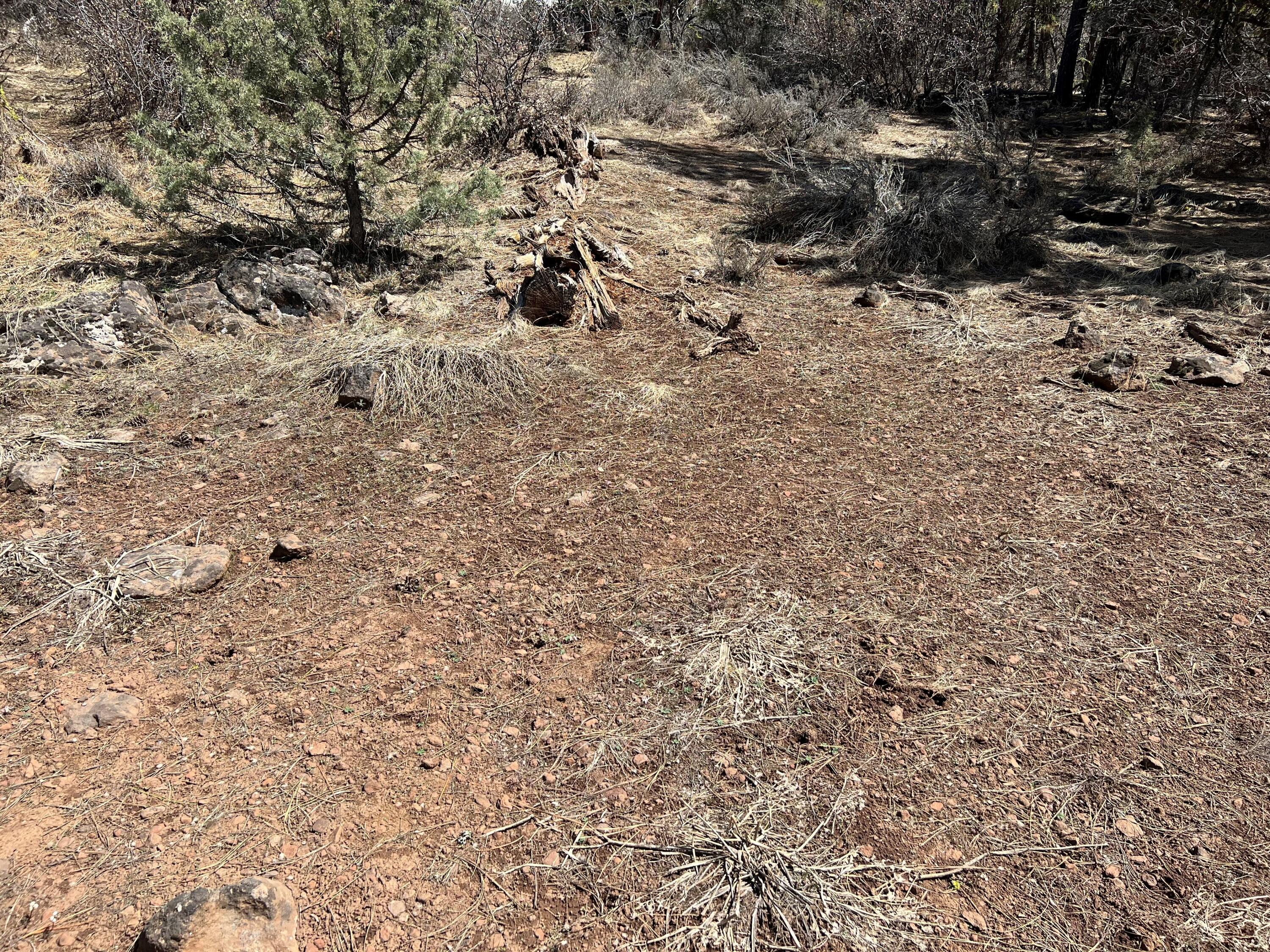 Klamath Falls Forest Estates Hwy 66 Unit Plat 4 - Land