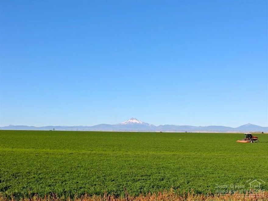 Production Farm in Agency Plains. 313 acres with 295 acres of North Unit Irrigation (Deschutes River) water rights with multiple irrigation reservoirs. Farm is planted in alfalfa hay and irrigated with 3 pivots. Two homes can be used for farm help or are potential replacement dwellings with outbuildings and separate addresses. Quiet Country Setting in a great farming community close to the Deschutes River. Cascade Mountain Views. Property is leased. Appointment Only, Listing Agent must Accompany.