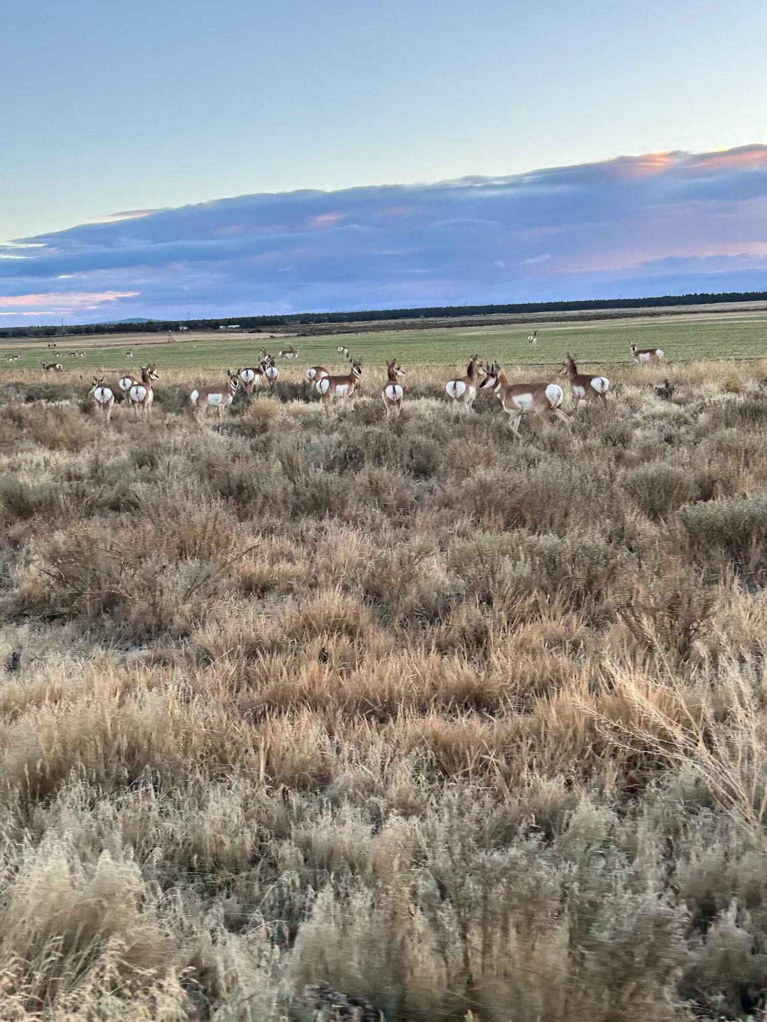 Lake County - Residential