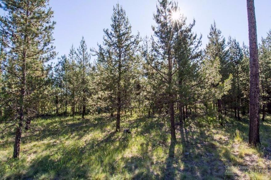 Golf course frontage on the 3rd tee at Crosswater! Nearly 1/2 acre flat parcel is ready for you to build your dream home! Come and join the fun and one of Oregon's finest golf courses! Owners share a pool, fitness center and tennis courts. Don't miss it!