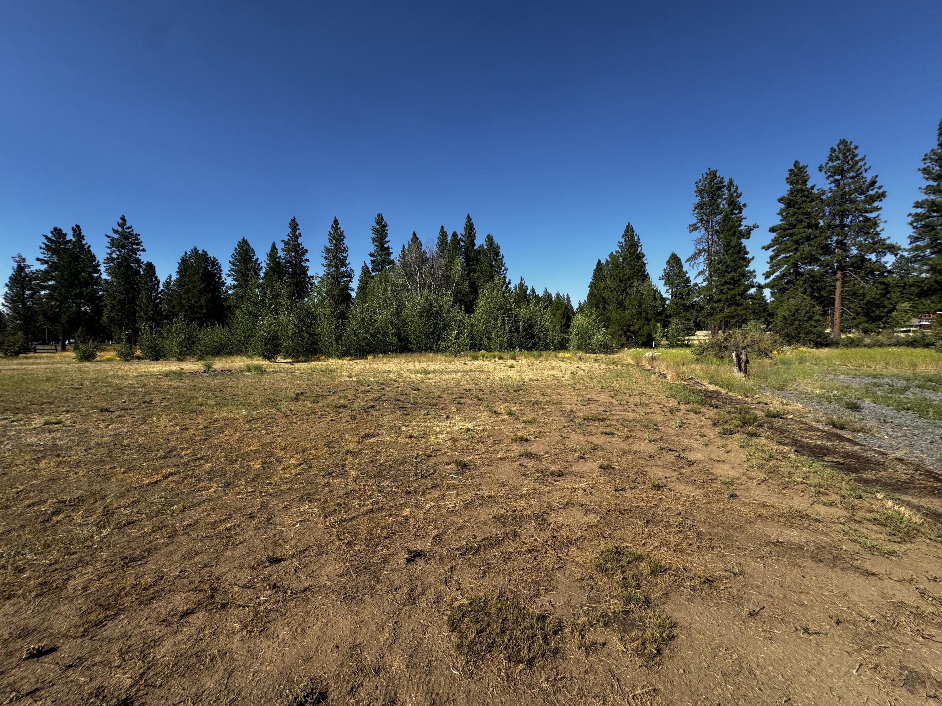 Pine Meadow Village -Phase 1 - Residential