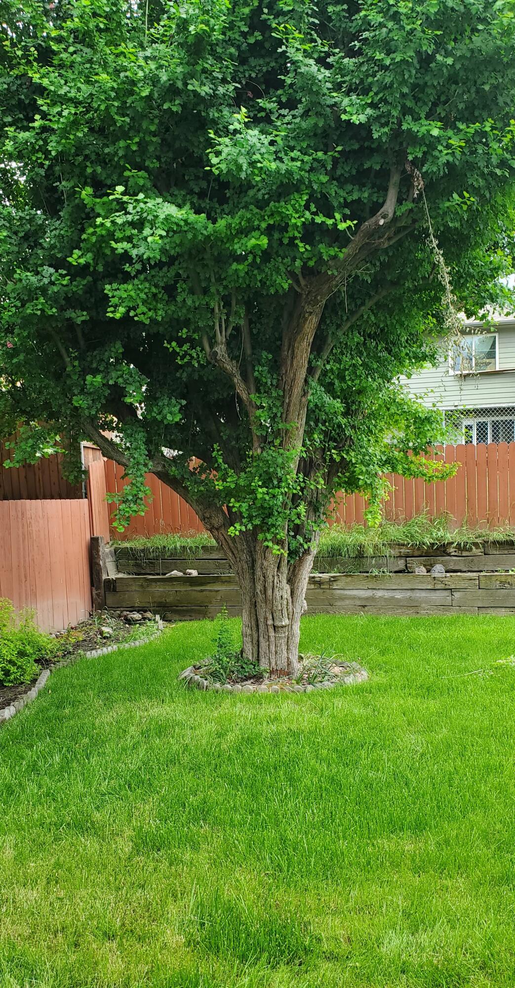 Collier Harris Addition To Milton - Residential