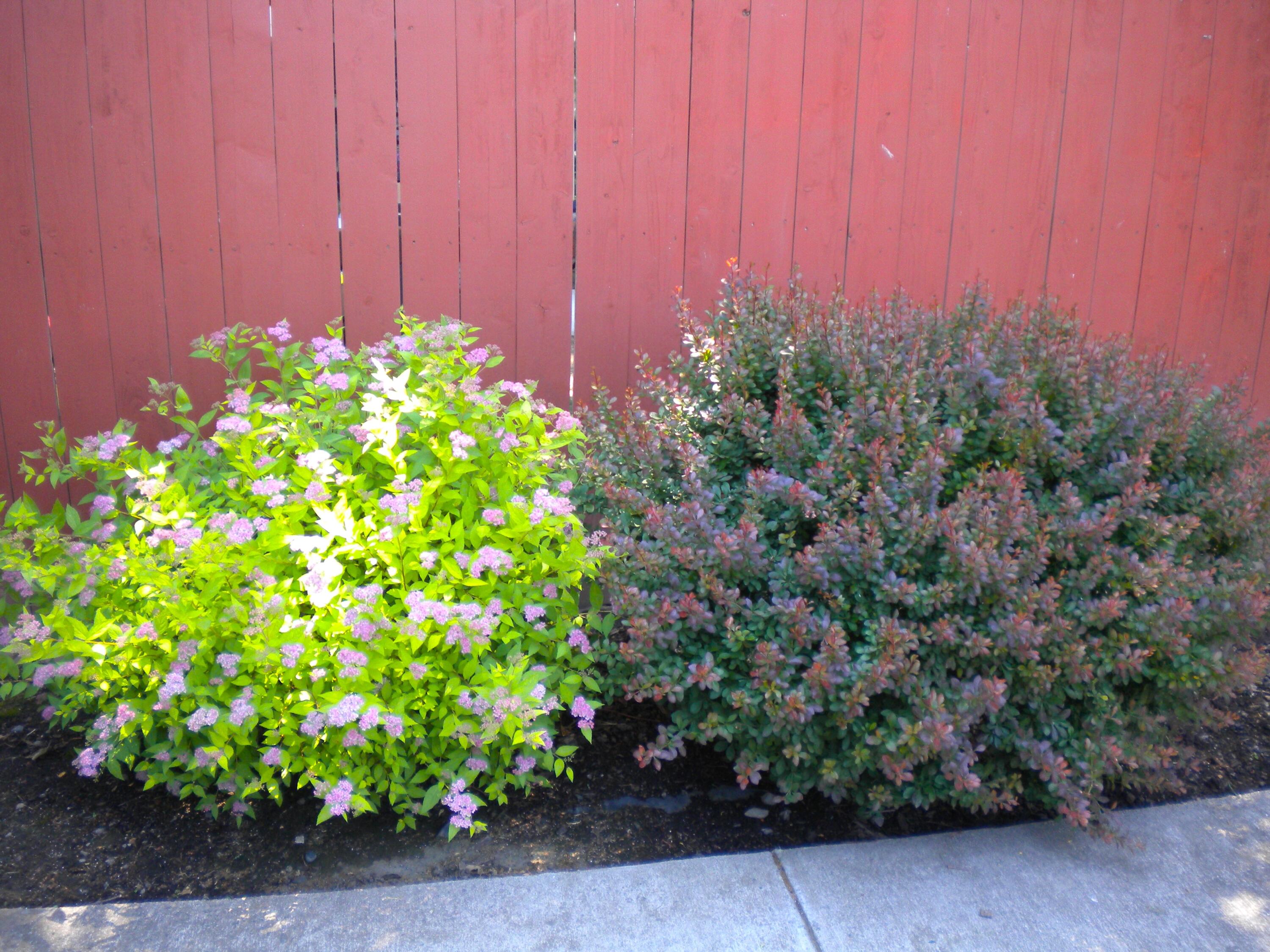 Collier Harris Addition To Milton - Residential