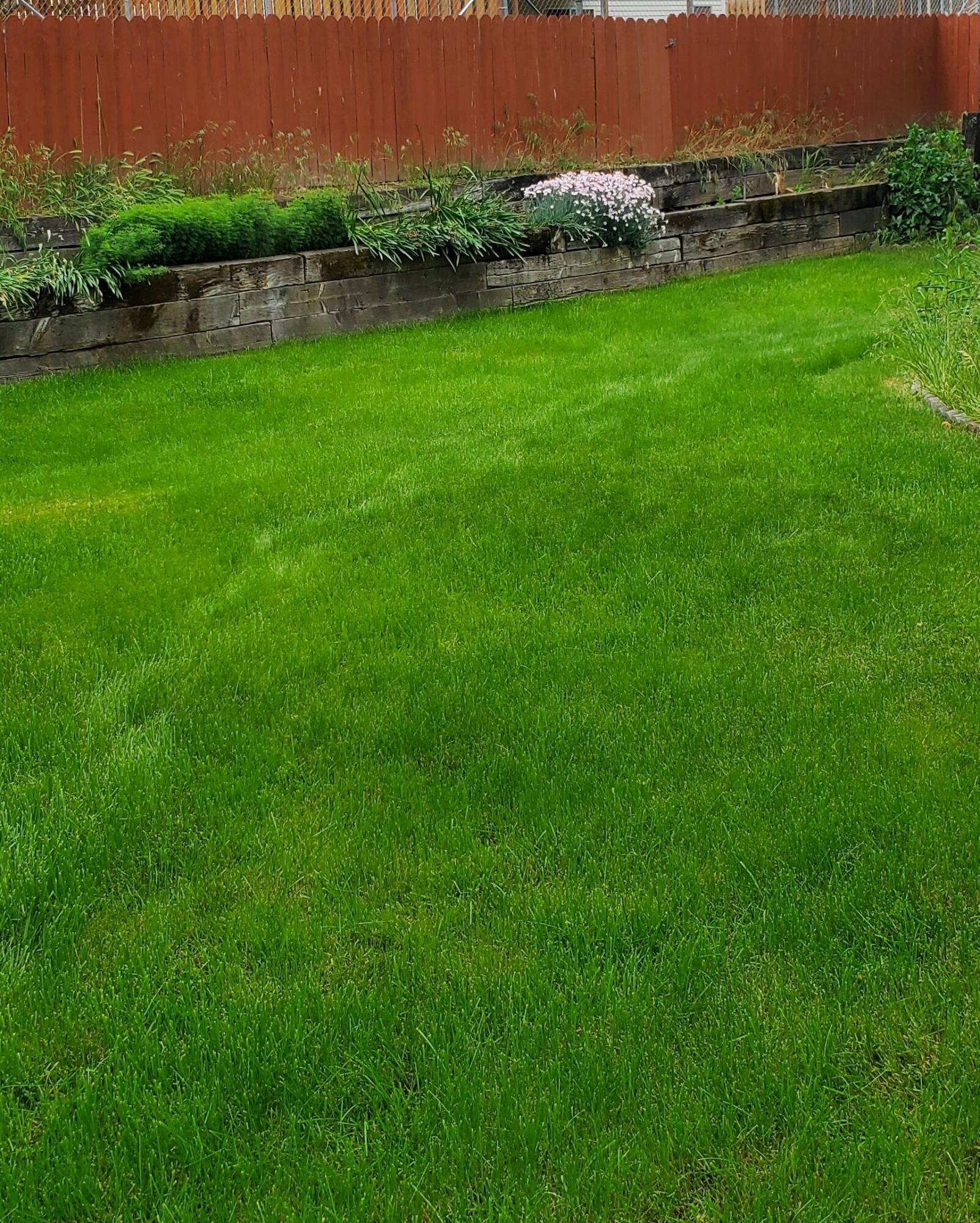 Collier Harris Addition To Milton - Residential