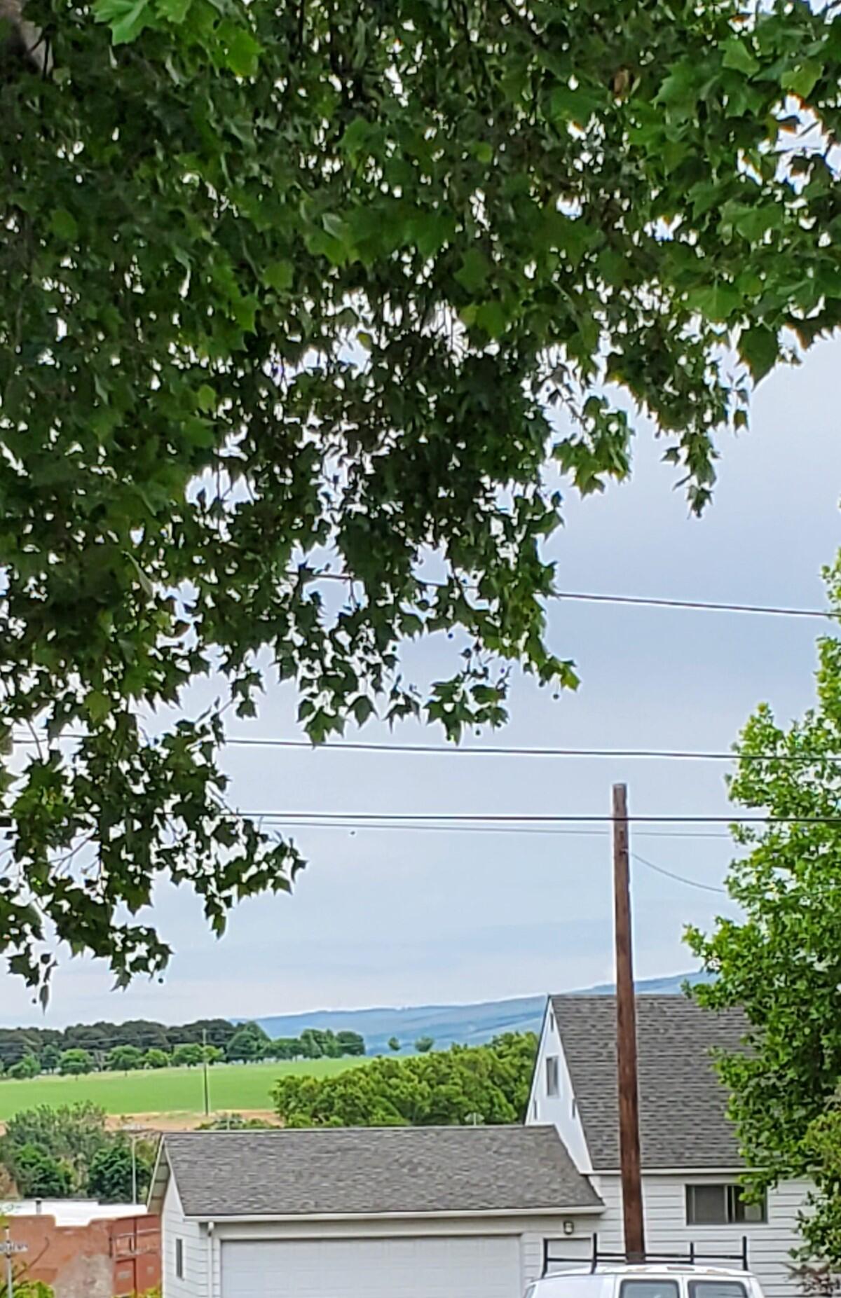 Collier Harris Addition To Milton - Residential