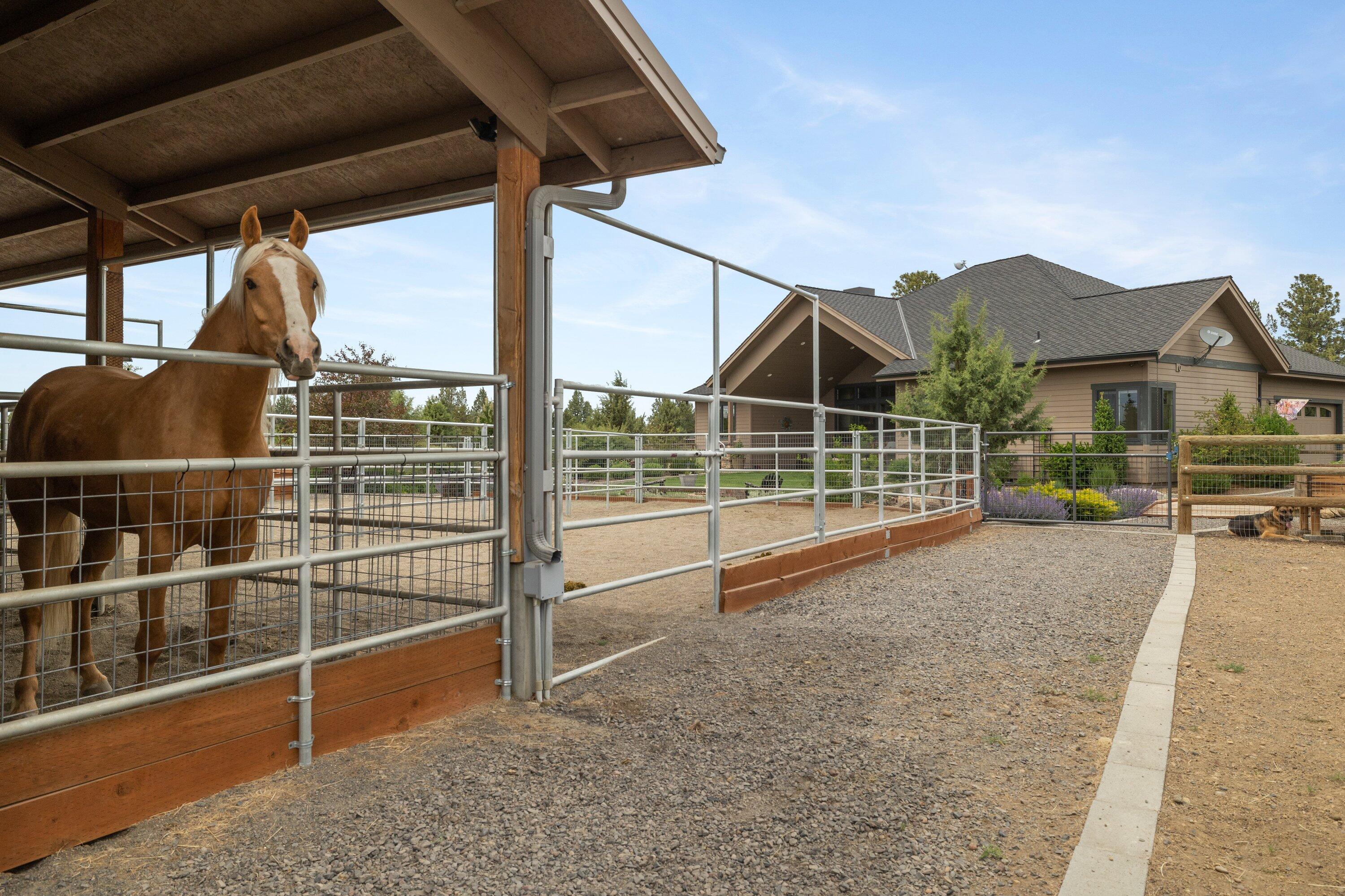 Desert Sand Arabian - Residential