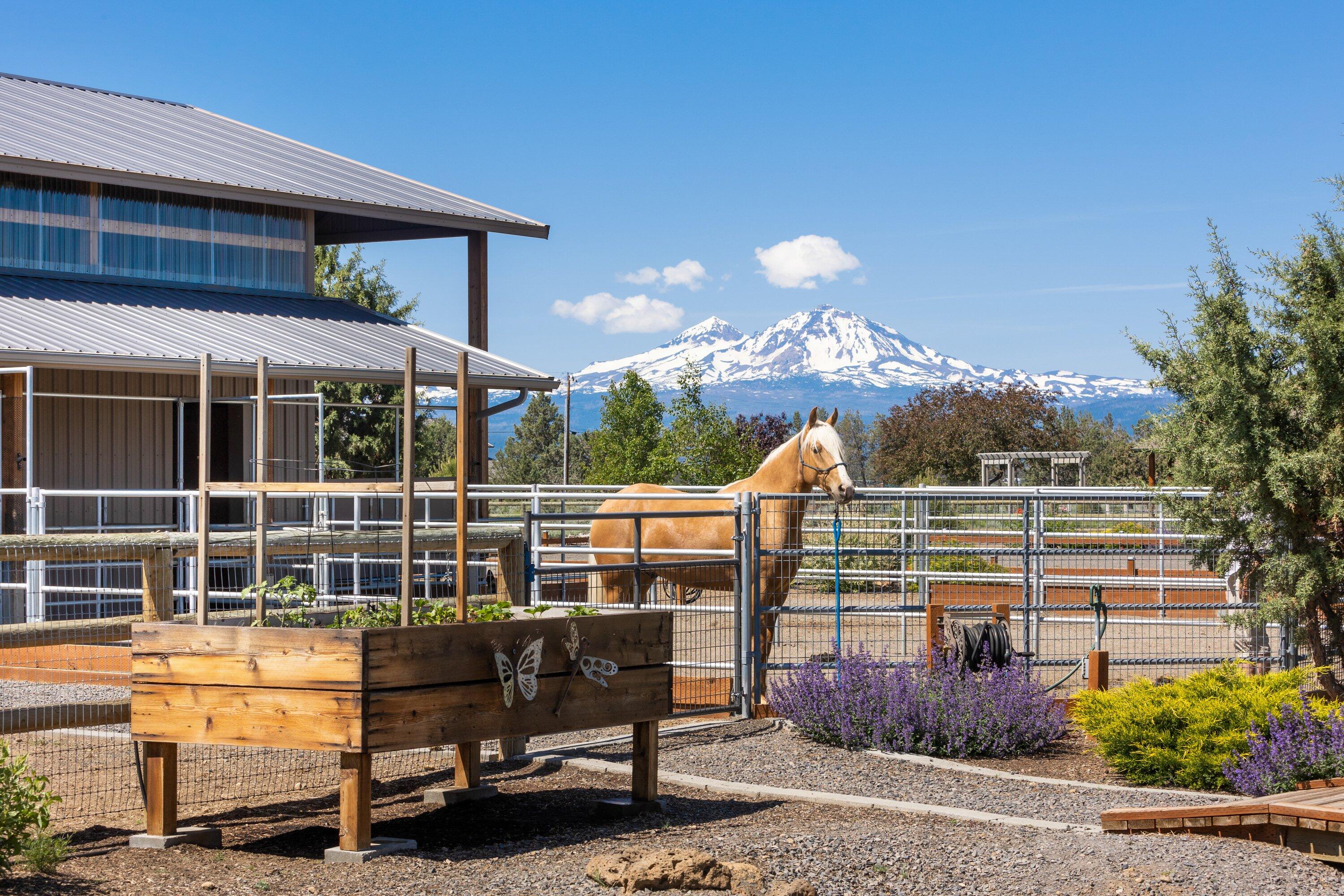 Desert Sand Arabian - Residential