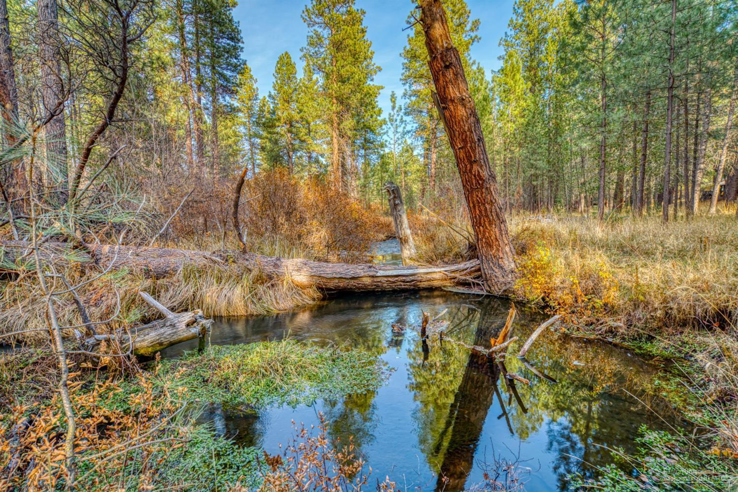Metolius Meadows - Land