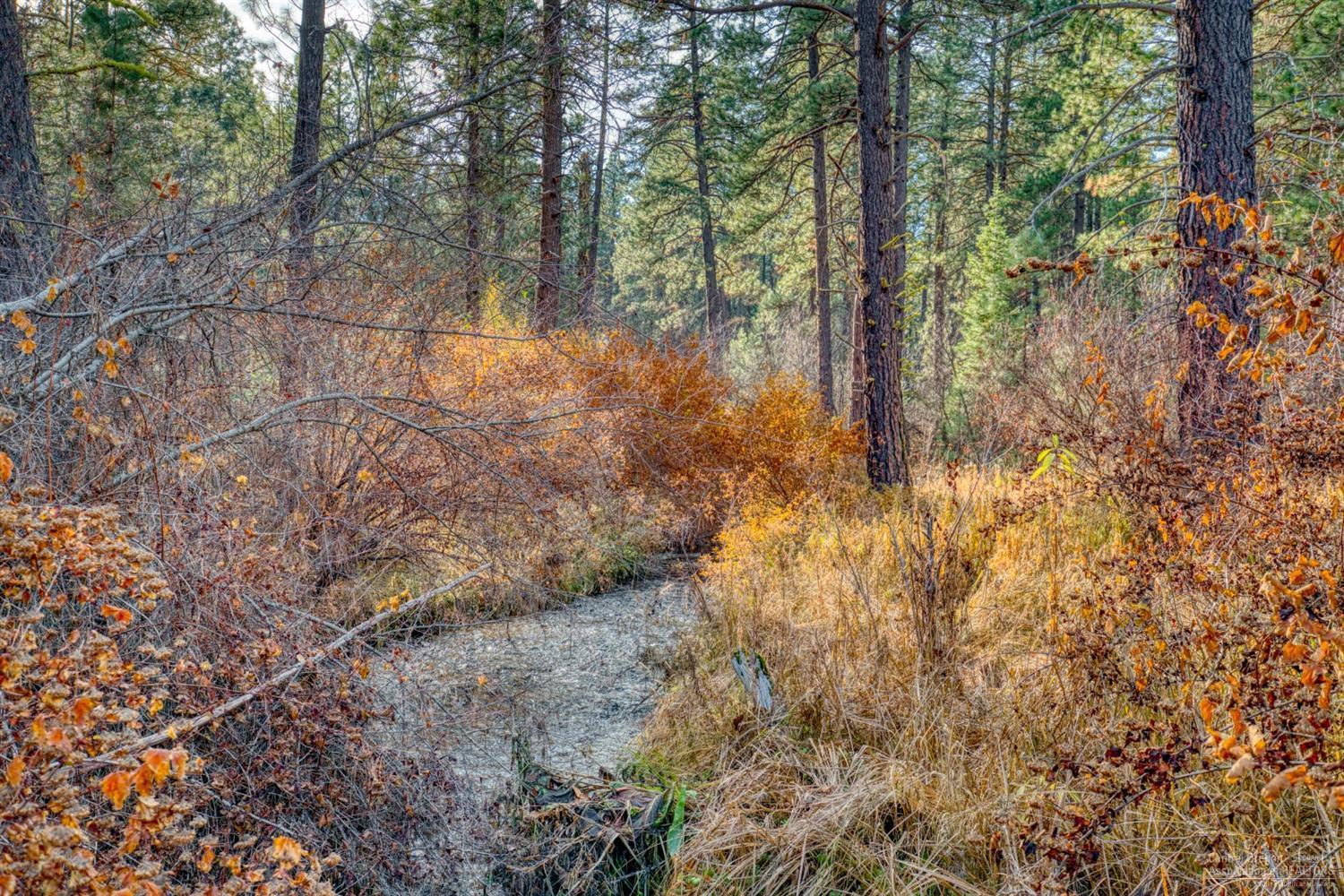 Metolius Meadows - Land