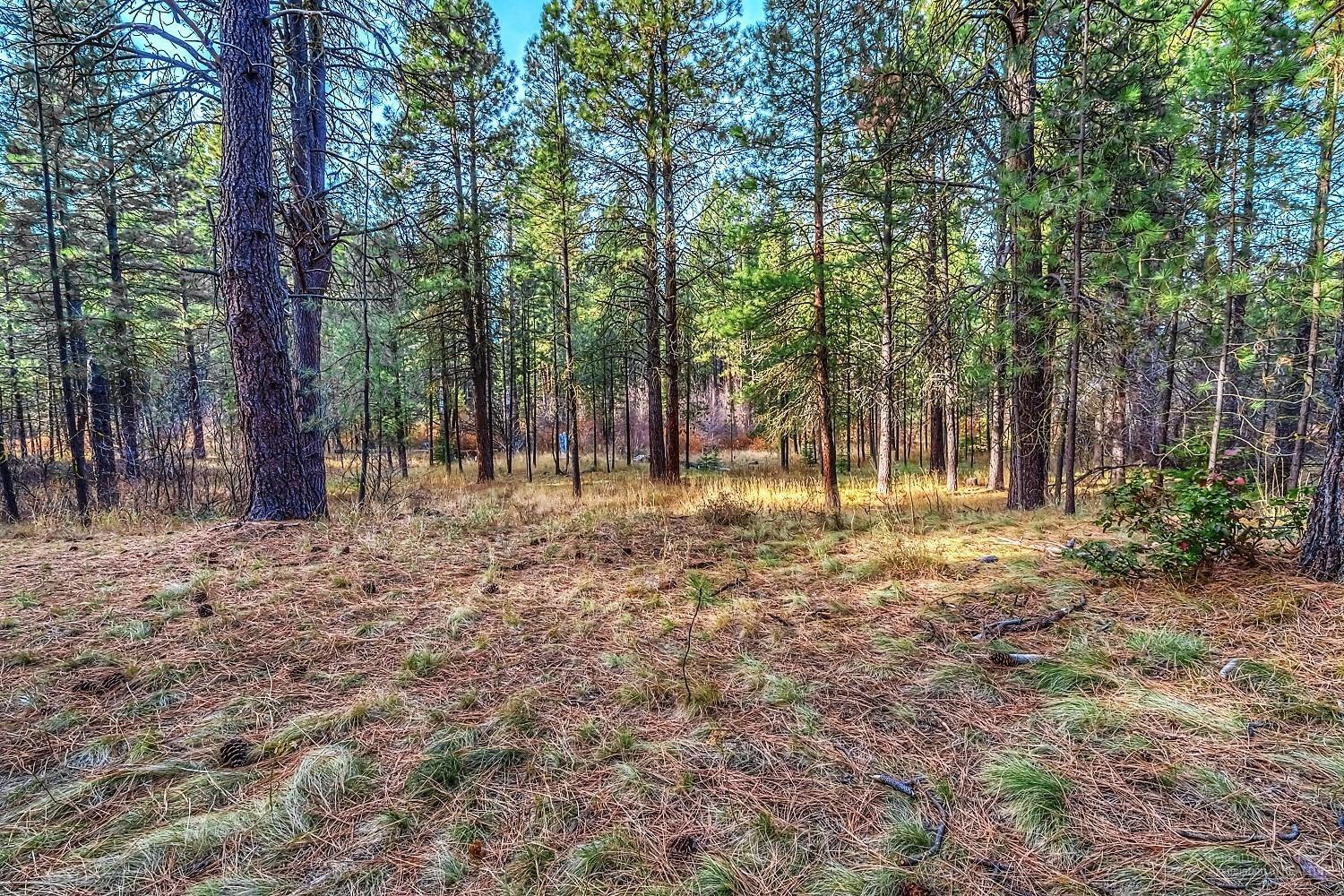 Metolius Meadows - Land