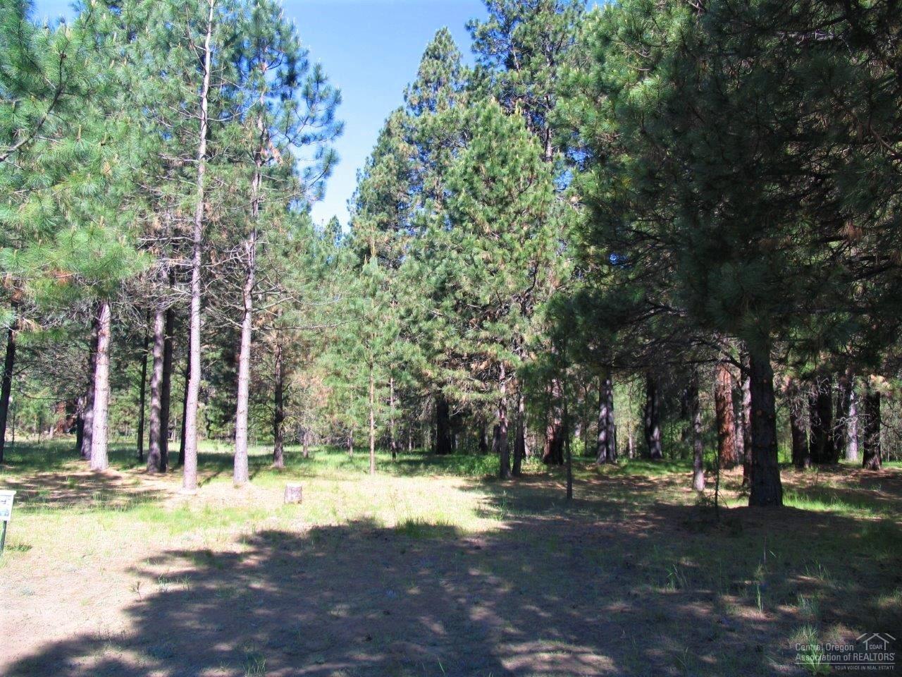 Metolius Meadows - Land