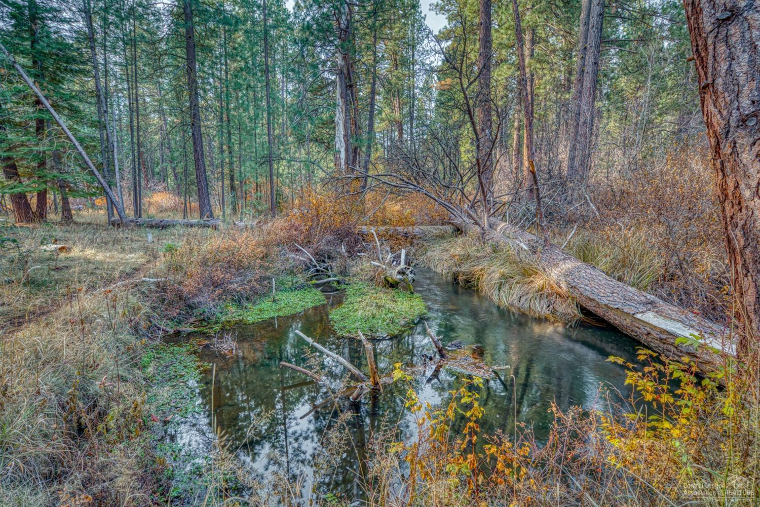 Metolius Meadows - Land