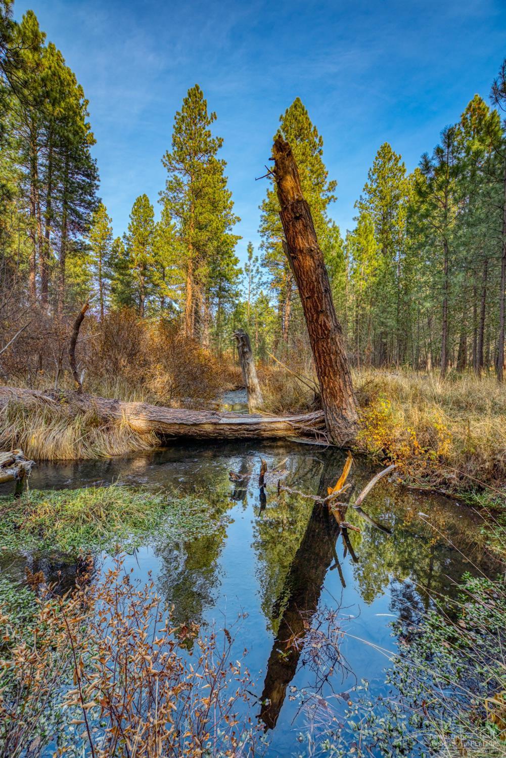 Metolius Meadows - Land