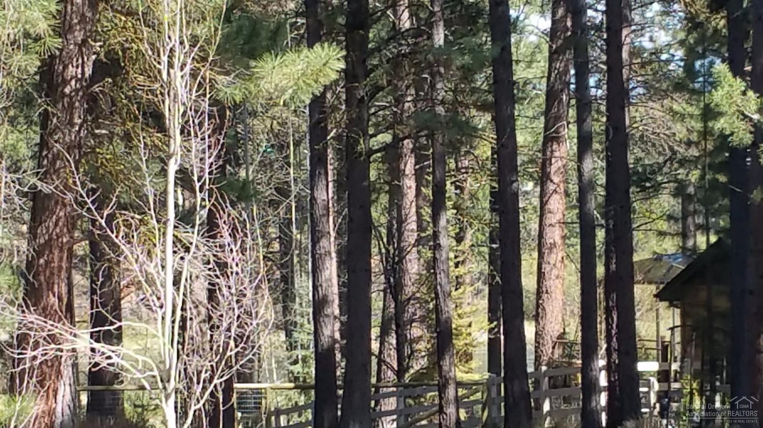 River Forest Acres - Land