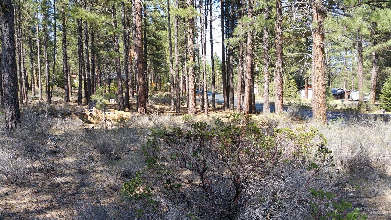 River Forest Acres - Land