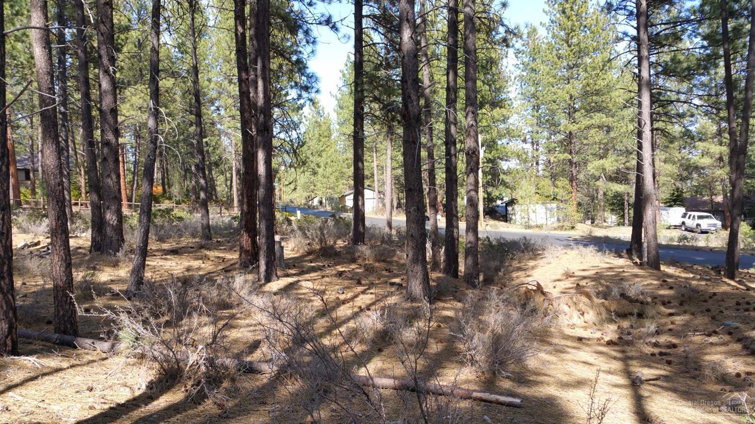 River Forest Acres - Land