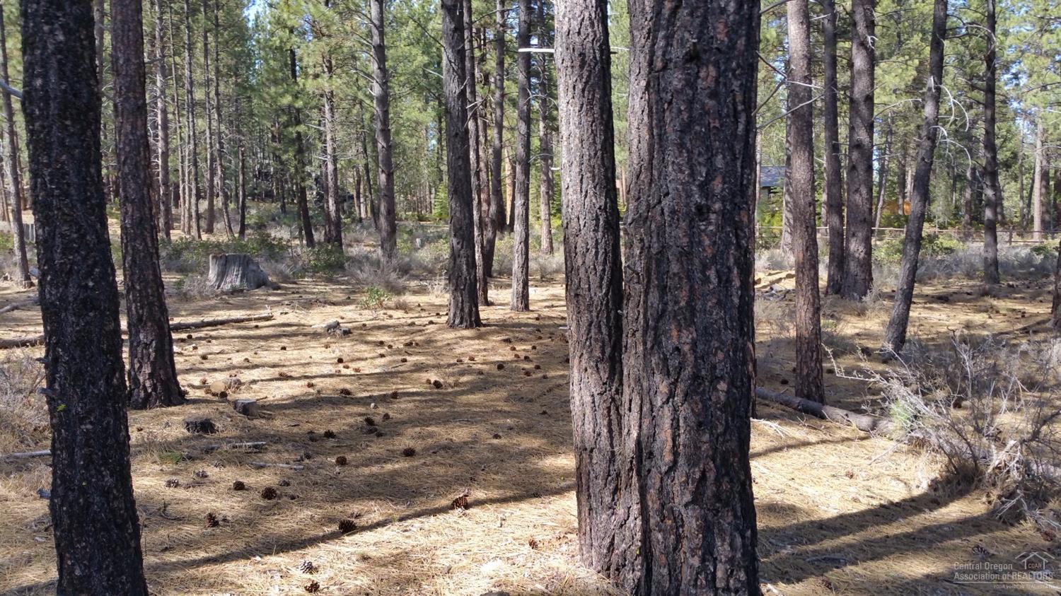 River Forest Acres - Land