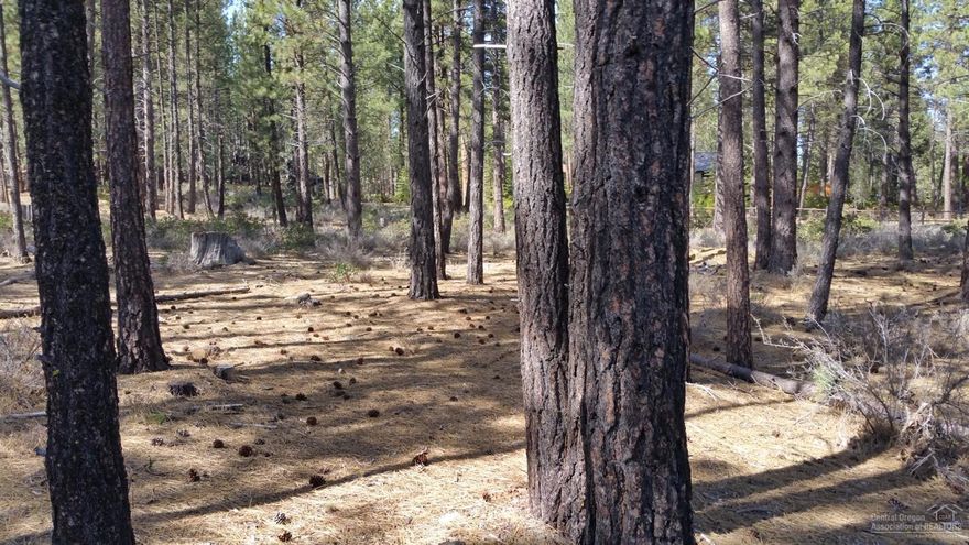 This is a beautiful lot in River Forest acres. There is a small view of the Big Deschutes. if your wanting an area full of beautiful tress with river access this is worth a look.