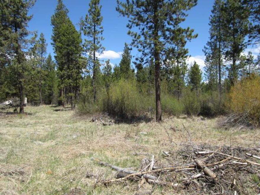 Enjoy Central Oregon from this great location, half acre lot priced to sell! Beautiful Ponderosa Pines on this lot near US Forest lands, the Big Deschutes River, and all the recreational activities Central Oregon has to offer.This lot has many uses including camping, a home base for your RV, or build a shop to store your fishing & hunting gear. Close proximity to La Pine State Park, Boat ramps, Sunriver, Mt. Bachelor, Cascade Lakes and great fishing!