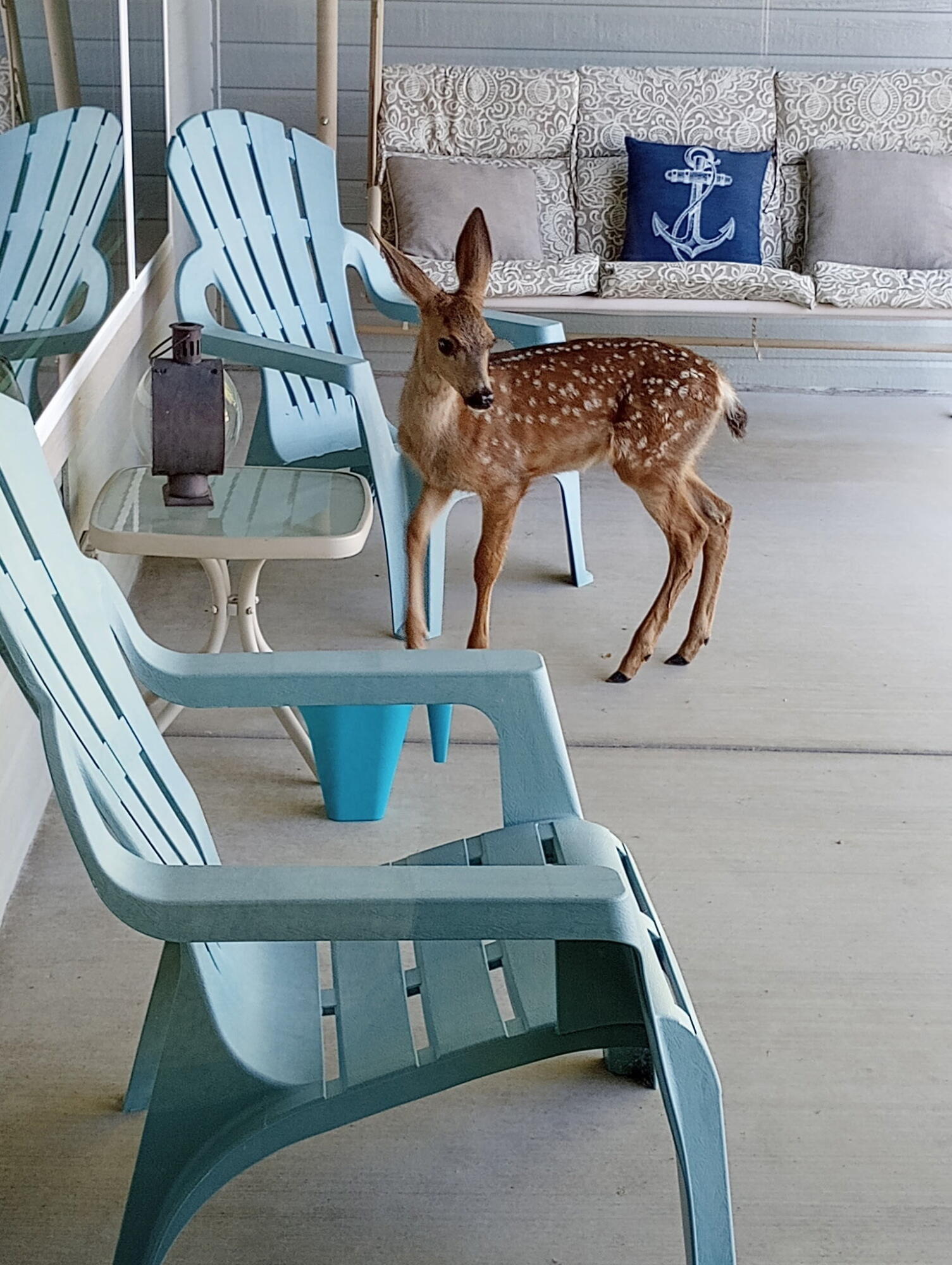 Harbor Isles - Residential