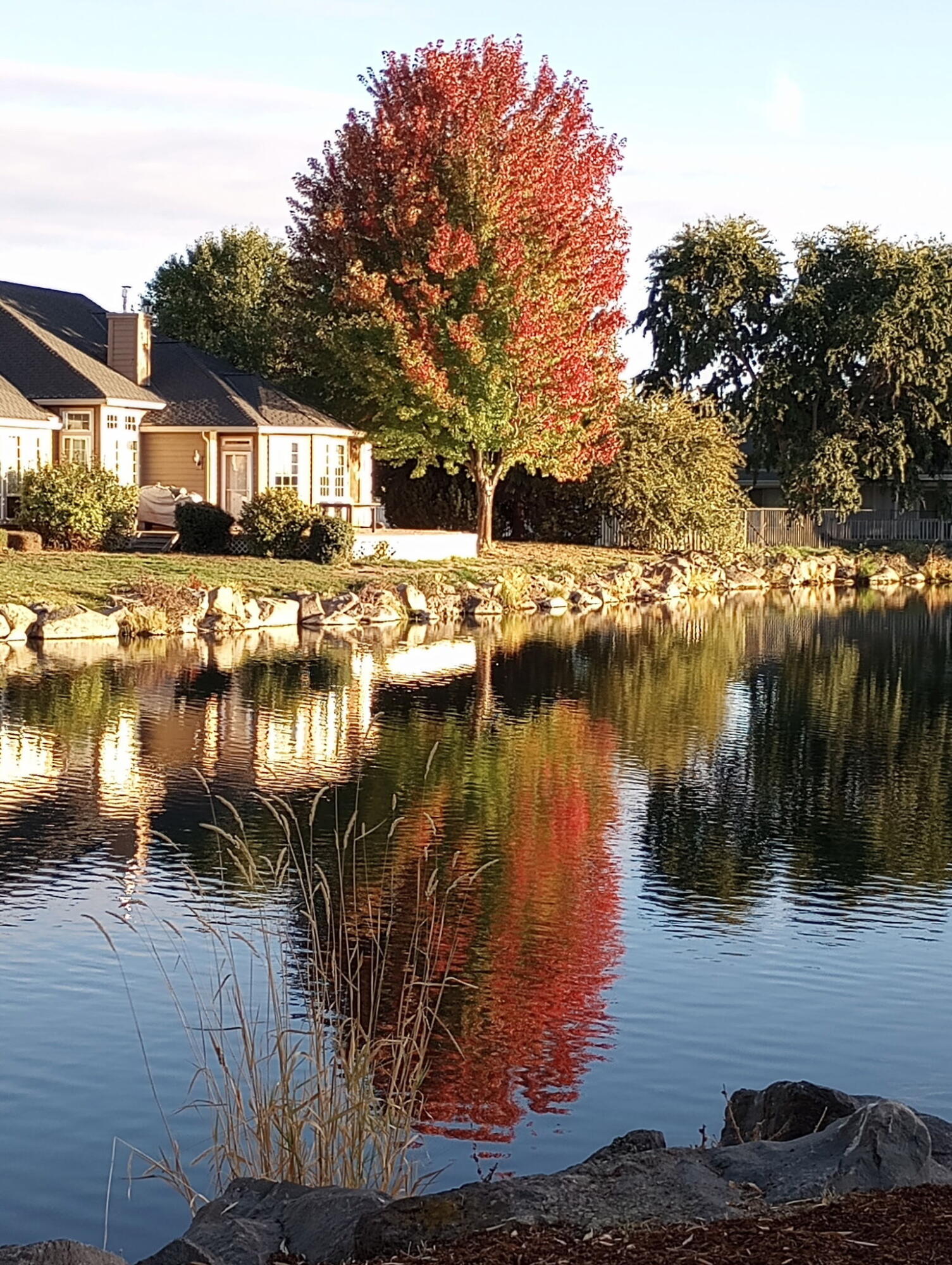 Harbor Isles - Residential