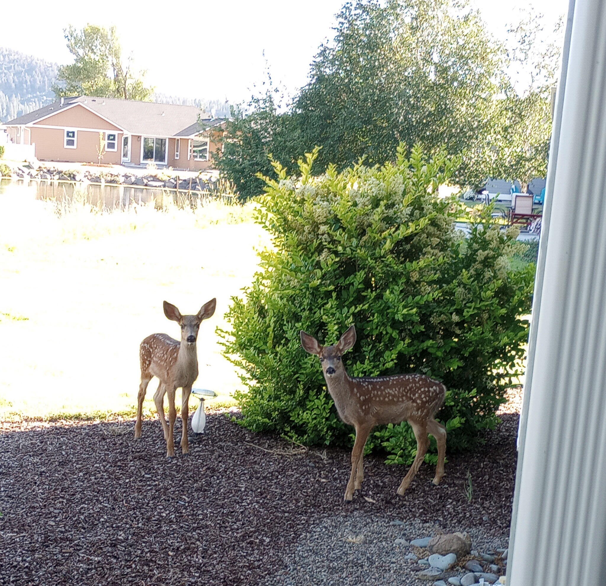 Harbor Isles - Residential