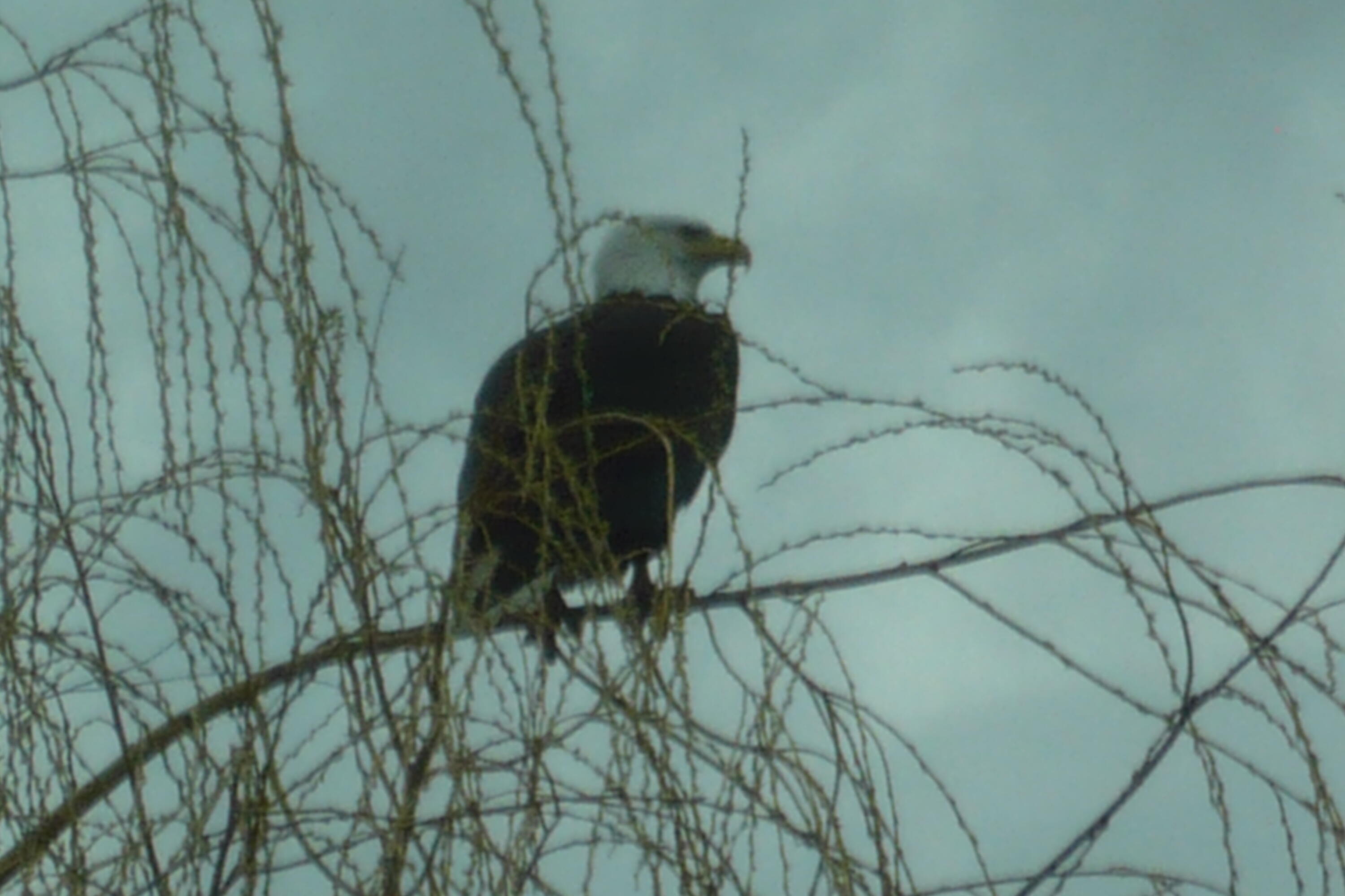 Harbor Isles - Residential