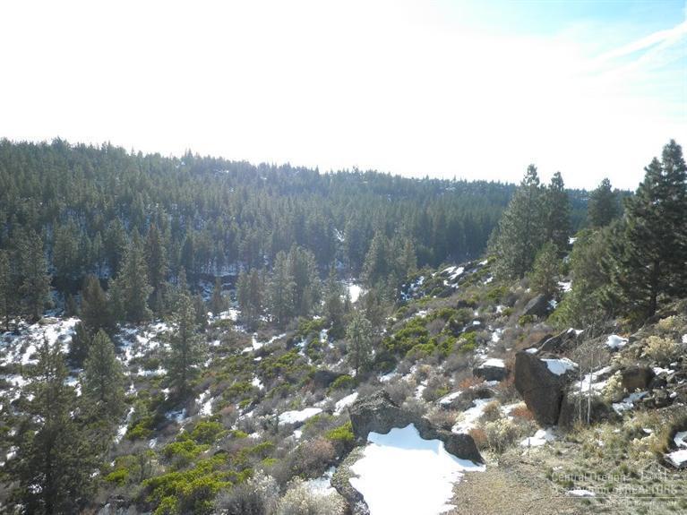 Mt Bachelor Village - Residential