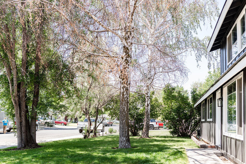 Winchester - Residential